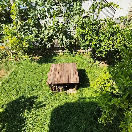 Bujari Berat