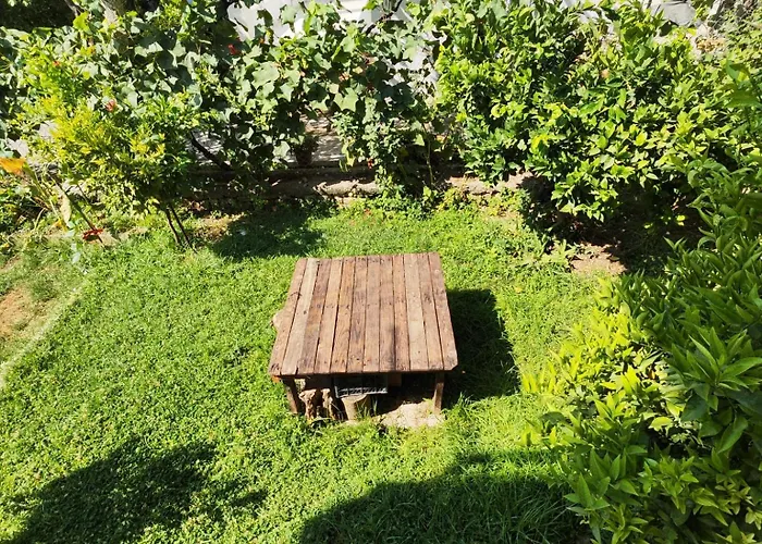 Bujari Berat